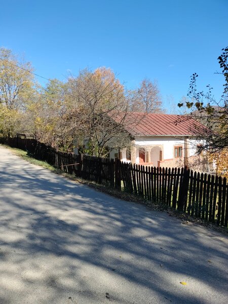 Iedera, Cricovul Dulce, casa de vanzare 90 mp, teren 2.450 mp