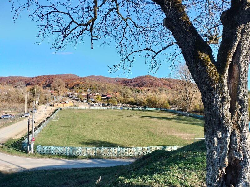 Iedera, Cricovul Dulce, casa de vanzare 90 mp, teren 2.450 mp